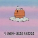 시오꾸꾸 이미지