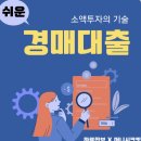 인포케어 경매 | (후기)하루한보 <경매대출을 활용한 소액투자의 기술>