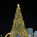 남산마트 | 남산타워 전망대 레스토랑 한쿡 평일 디너 코스 후기