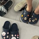 강아지분양 멍블랑 인천청라본점 이미지