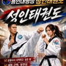 용인대 명성 태권도 네이버블로그