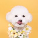 주토피아스튜디오 이미지