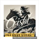 윤석란공인중개사사무소 이미지