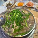 [역삼/강남 맛집]서울집, 도가니수육이 맛있는 술꾼들의 성지(메뉴,가격,솔직후기)내돈내산 맛평가