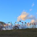 노을들녘 이미지