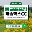 자이언트 스크린골프 | 중국골프여행 청도캐슬렉스CC 항공포함이 30만원대부터? 패키지안내