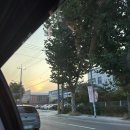 서아메디칼 | 부산┃붓싼 쏴리질러 (부산여행 당일치기 후기)