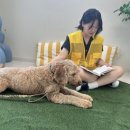 소풍동물병원 이미지