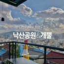 낙산 Daum카페