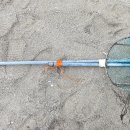 동해-단속-27 이미지