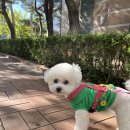 GROOMING 0104 이미지