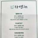 자연인힐링족욕