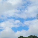 에덴세탁 | 발리 짱구 브런치 카페 핫플, 리볼버 짱구, 우붓 에덴하우스 객실 및 조식, 장단점 솔직후기