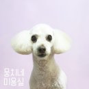 뭉치네 미용실 이미지