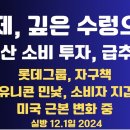 경제,수렁 속으로/생산 소비 투자 급추락/롯데 자구책/교육부 &#39;의대국&#39; 신설/트럼프, 머스크 밀월 해부...11.일 공병호TV﻿ 이미지