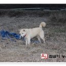 유순농장 네이버블로그