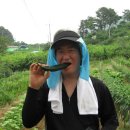 승준농장(4) Daum카페