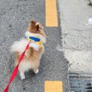 포라미용실 - 순창군 | 포라미용실