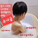 슈너글 베이비-&gt;디럭스까지, 31개월 사용 후기(Feat. 토이버블클렌저)
