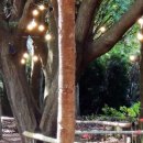 제주랜드 이미지