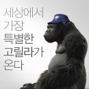 미스터고 이미지