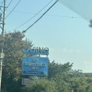 가다오다 | W. 본식스냅 &lt;노벨라스냅&gt; 계약하고 오다