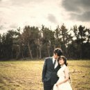 꼰 스튜디오 이미지