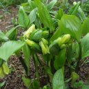 약초산방 이미지