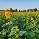 두암농장 이미지