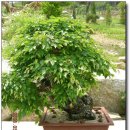 산청농장 이미지