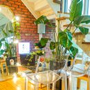 무랑가배 이미지