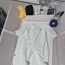 어서멍 | 안녕 어서와! 38주 일상