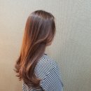 오늘은머리하는날 이미지