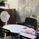 카페카다로그 이미지
