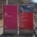 아트센터로 | 지브리&amp;디즈니 OST 콘서트 2/28(토) 성남아트센터 콘서트홀 후기