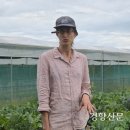 매대농장 이미지