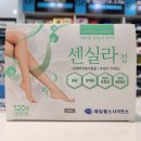 산본제일약국 이미지