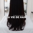 라비드헤어 이미지