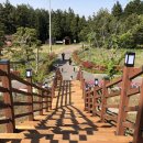 계룡산유아숲체험원 이미지