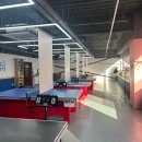 구월로데오 | 구월동 놀거리 데이트 추천 잼탁구 구월로데오점 내돈내산 후기