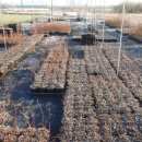 영하농장 이미지