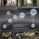 여자 혼자 한라산 등반 후기 (성판악~관음사) / 11월 산행 준비물