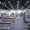 포바디짐 네이버블로그