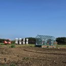 맘스케익 이미지