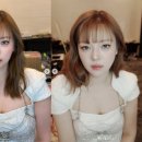정연