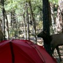 공용카센타 이미지