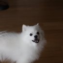 주안이네왕만두 이미지