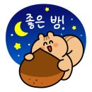 셀럽스튜디오 이미지