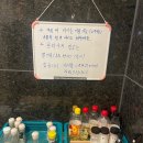 까르디에A 이미지