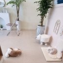 마실오개 이미지